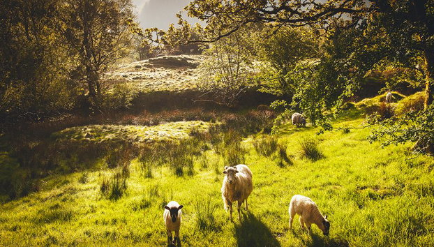 Windermere, Lancaster y el Distrito de los Lagos - Tour en grupo reducido - Foto 2